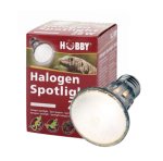 Halogen Spots