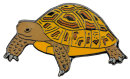 Ansteckpin "Schildkröte"