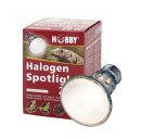 Halogen Spotlight 50W