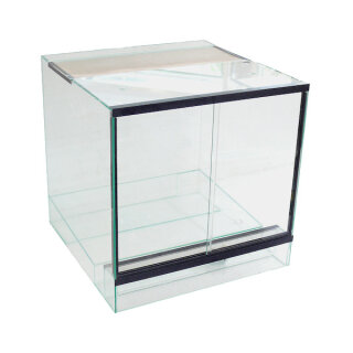 Dendrobatenterrarium 80x45x50 cm