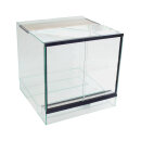 Dendrobatenterrarium 80x45x50 cm