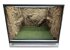 Dendrobatenterrarium 80x45x50 cm